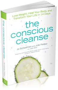The conscious cleanse program