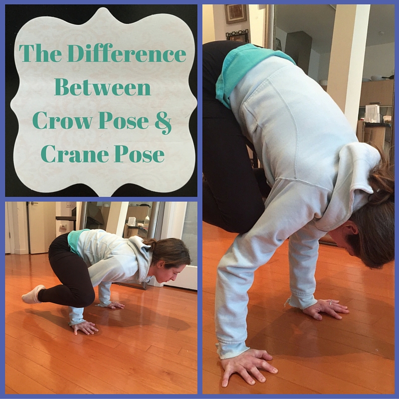 How to move from a crow ➡️ to a crane 🕊️ Kakasana (crow pose) is the best  place to begin to move into Bakasana (crane pose). The asanas may look... |  By